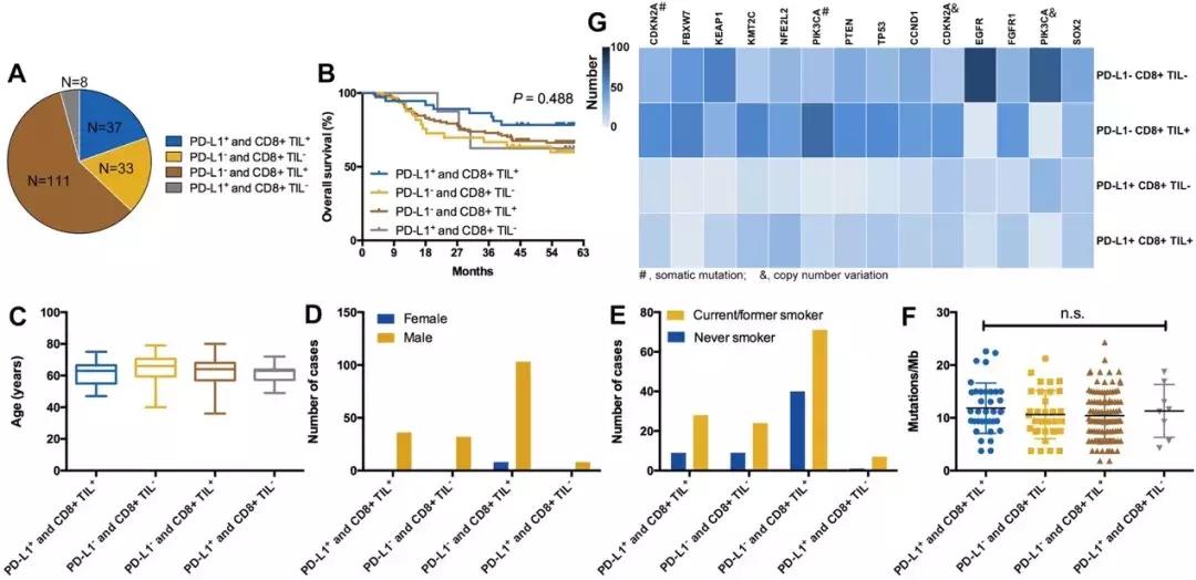 中国治疗肺鳞癌最好的医院,目前针对肺鳞癌的免疫治疗药物