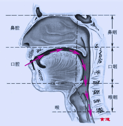 鱼刺卡喉咙没感觉了还用检查吗,小鱼刺卡喉咙吞咽没感觉