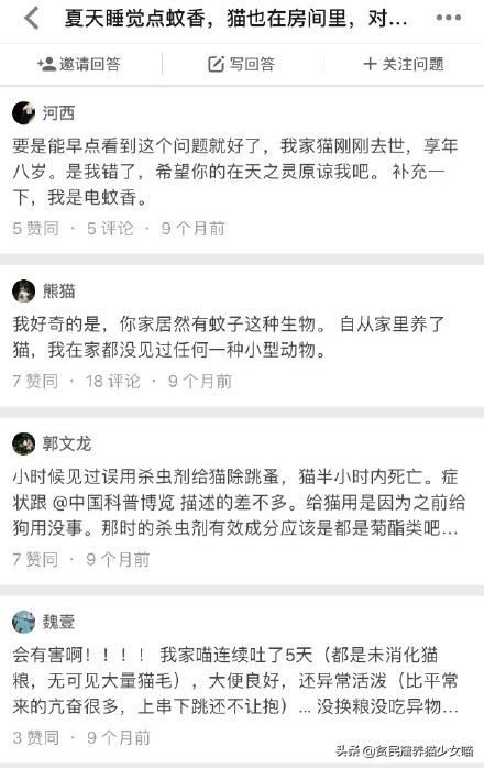 猫咪可以用什么驱蚊产品,夏天猫咪蚊香