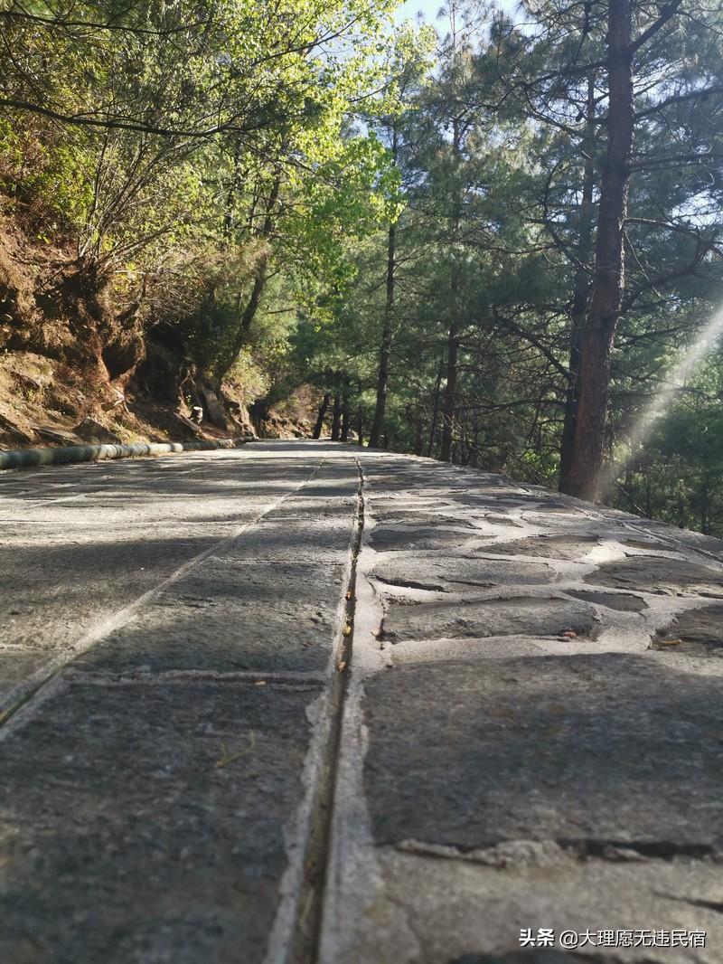 苍山一日游旅游攻略,苍山一日游自驾游