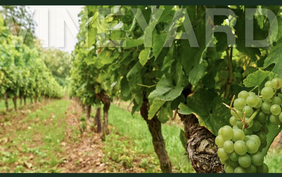 “红葡萄酒天堂”，著名疗养圣地BadNeuenahr——Ahrweiler