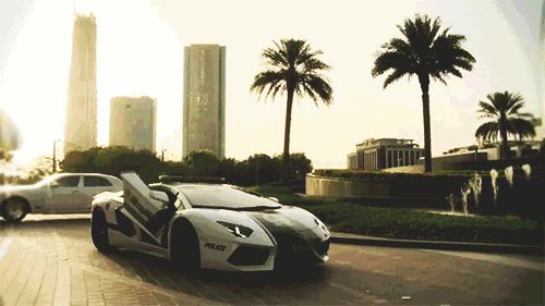 来一场沙漠之旅阿联酋迪拜,撒哈拉沙漠和迪拜