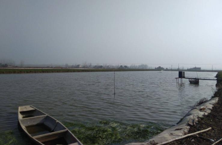 为什么说养殖赚不到钱,为什么搞养殖的朋友都说不挣钱