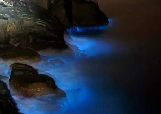 南麂岛黄渔嫂民宿,南麂岛民宿多少钱一晚