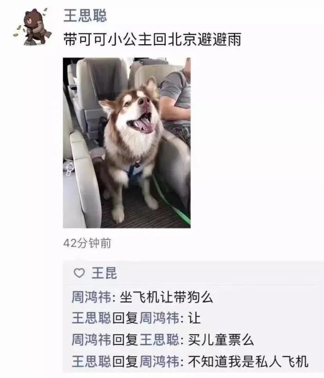 王思聪被女网红怼的体无完肤,王思聪晒女网红