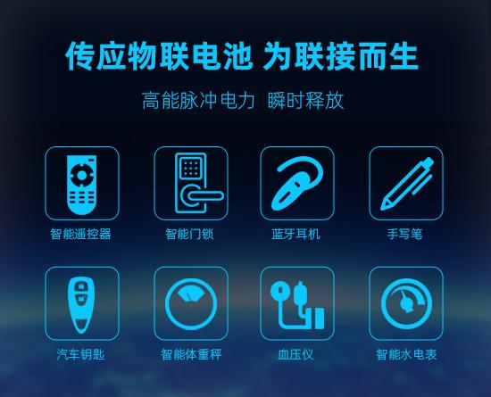 汽车智能钥匙纽扣电池,高品质汽车钥匙电池