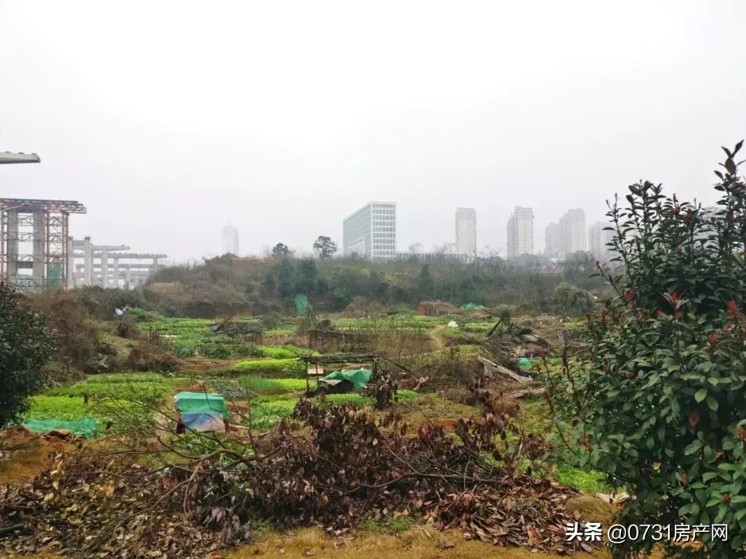 被众多住区包围的003号土地将来住宅最多只卖9800元/平