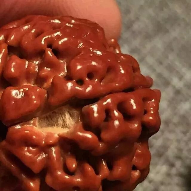 金刚菩提怎么保养不会裂,金刚菩提为什么会裂