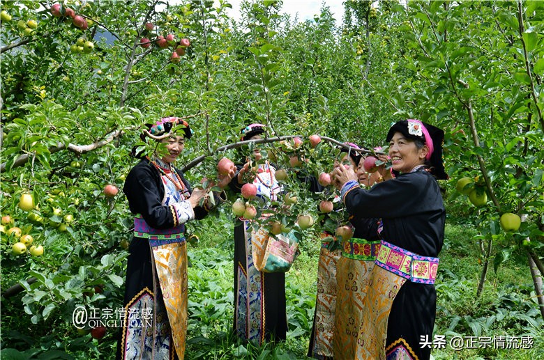 夜色成都串串爽，魅力小金苹果香#国庆中秋趣哪玩#