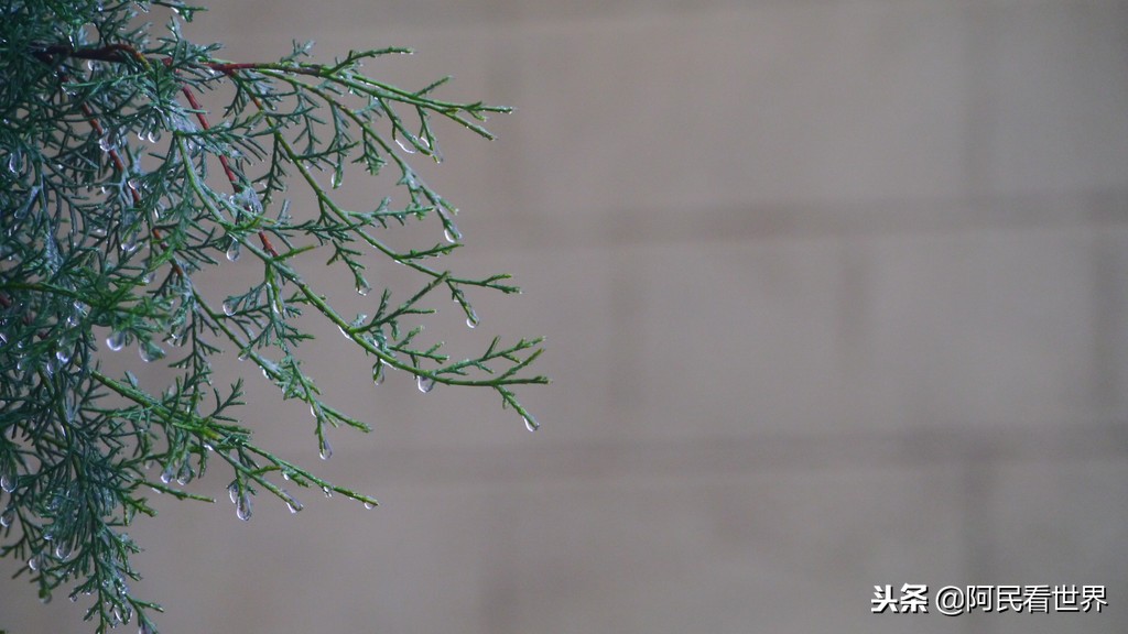 云南普者黑元阳坝美6天旅游攻略,云南建水普者黑旅游路线