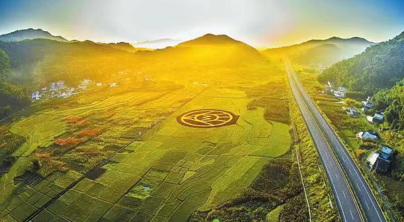 放了20年的浓香五粮液,五粮液浓香型五粮液