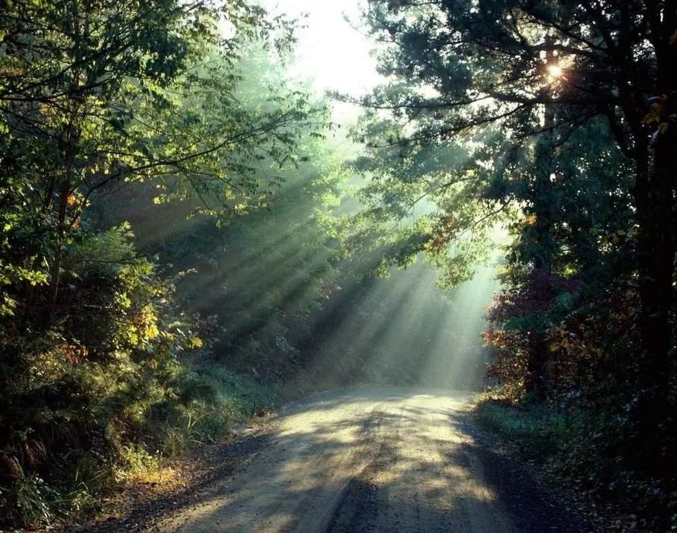 实受蛋儿“老憨儿”