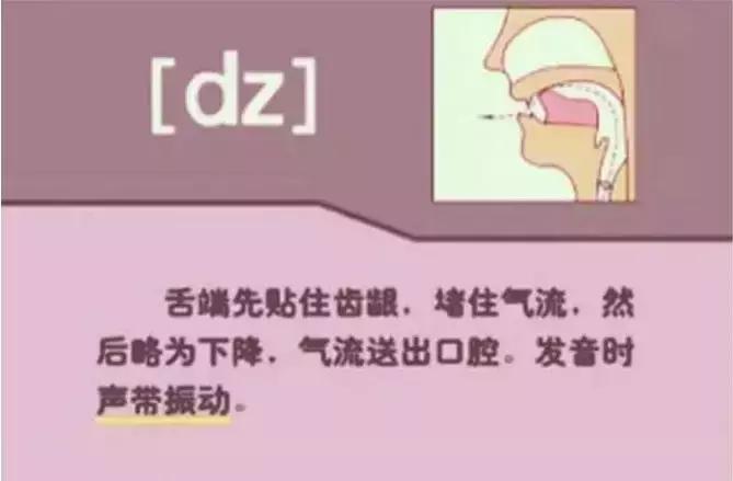 音标发音48个正确发音口型,小学英语音标发音48个口型