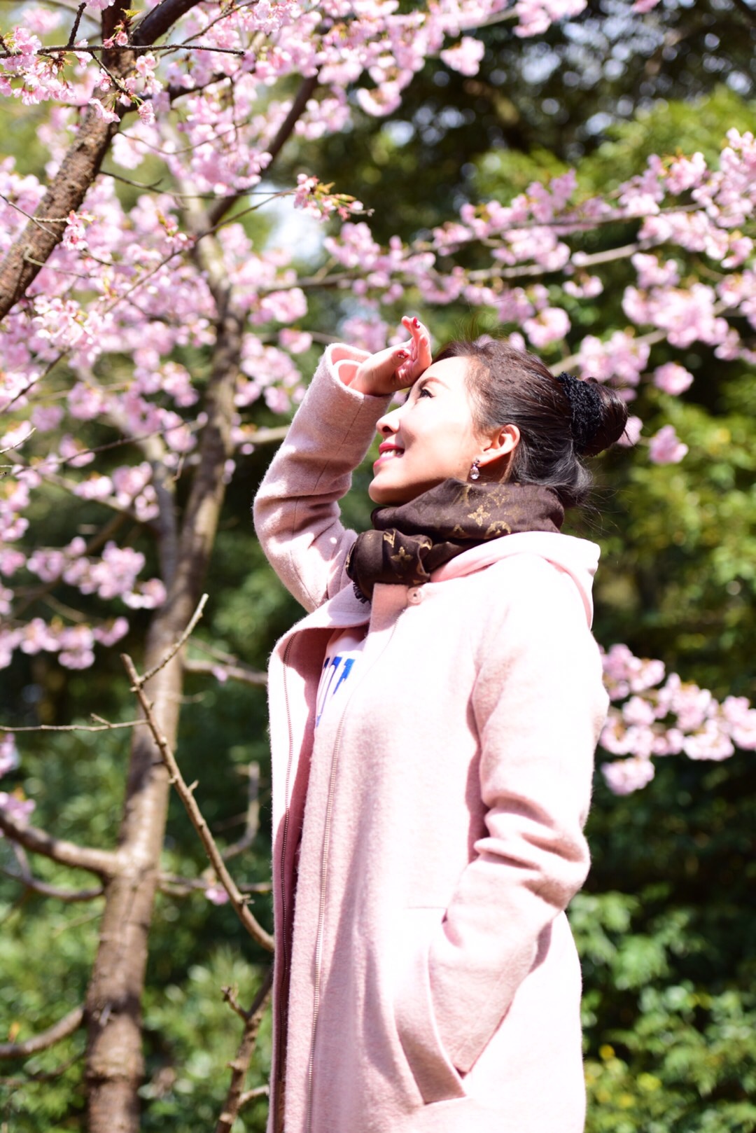 2019日本赏樱最新攻略|大津小众路线私家推荐