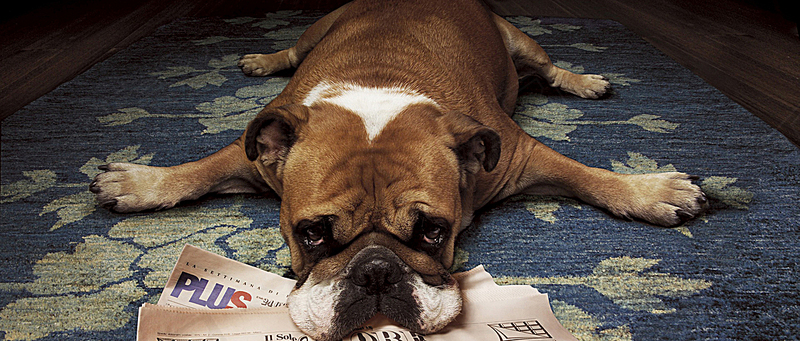 心理学教你如何走出抑郁,心理学如何走出心理阴影