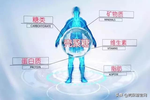 壳聚糖官网：菲密亚壳聚糖背后的故事