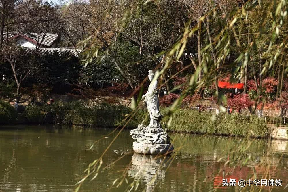 看佛有什么规矩,看佛经禁忌事项