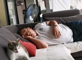 小卖部老板养了一只招财猫,店老板养的猫咪