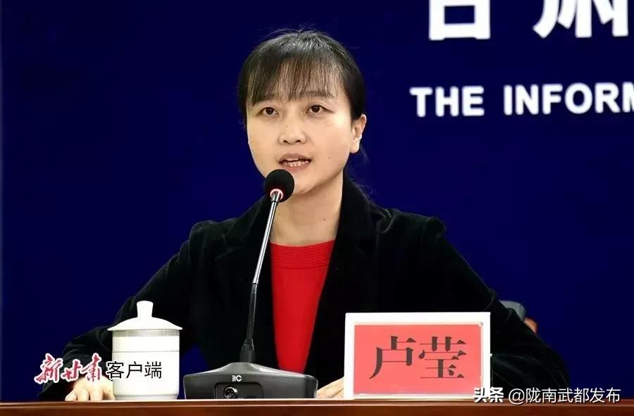 甘肃陇南新闻最新消息,甘肃新闻联播事件