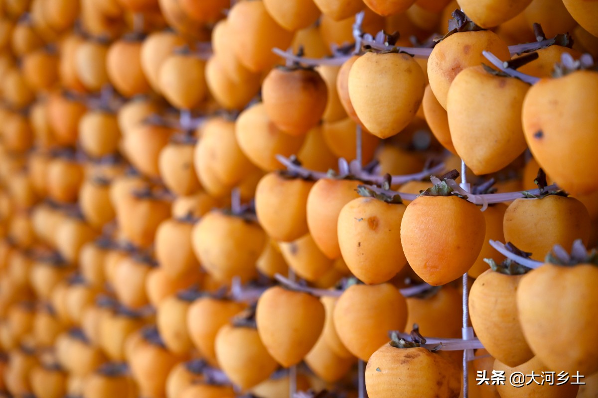 儿子从大企业辞职回乡卖“金饼”,父亲脸上笑开花:一年挣几十万