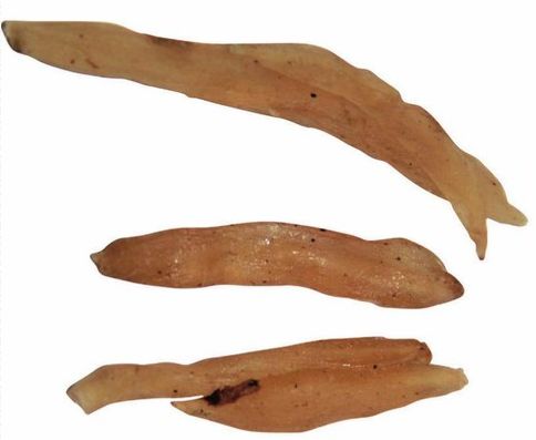 神农本草经滋阴通便的中草药,神农本草补津液