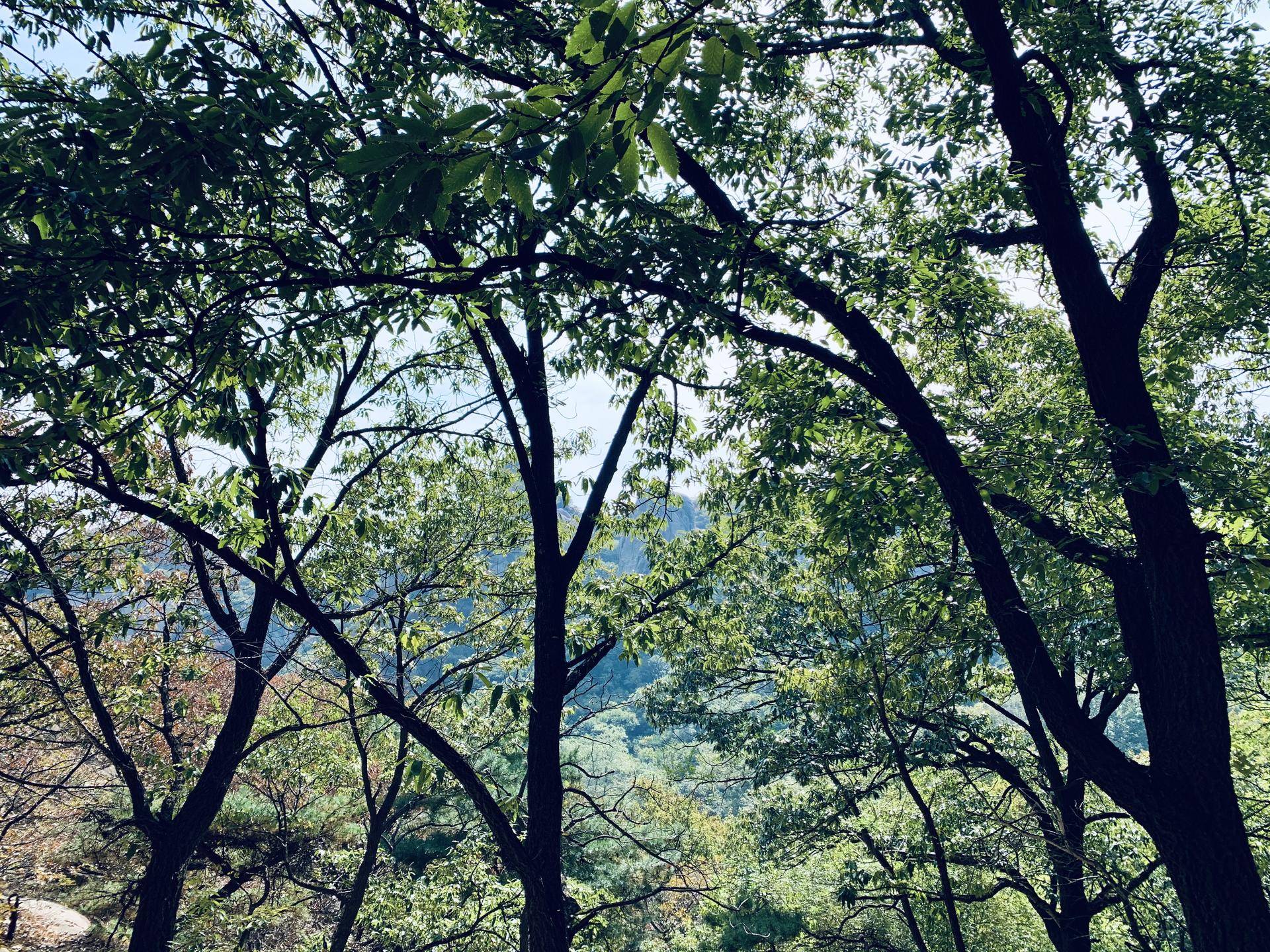 有山有水民宿原生态旅游,有山有水有云民宿名字