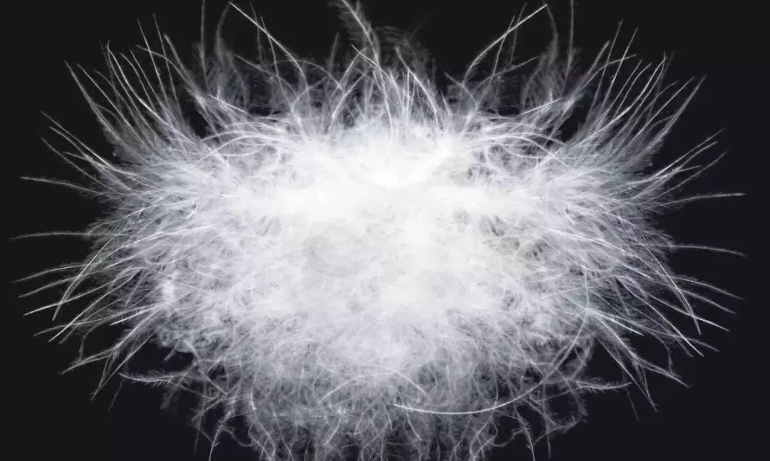 羽绒服内衬钻毛严重怎么办,羽绒服钻绒怎么办一招搞定