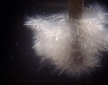 月销10000+，17个堪比艺术大片的彩虹实验，在家就能做