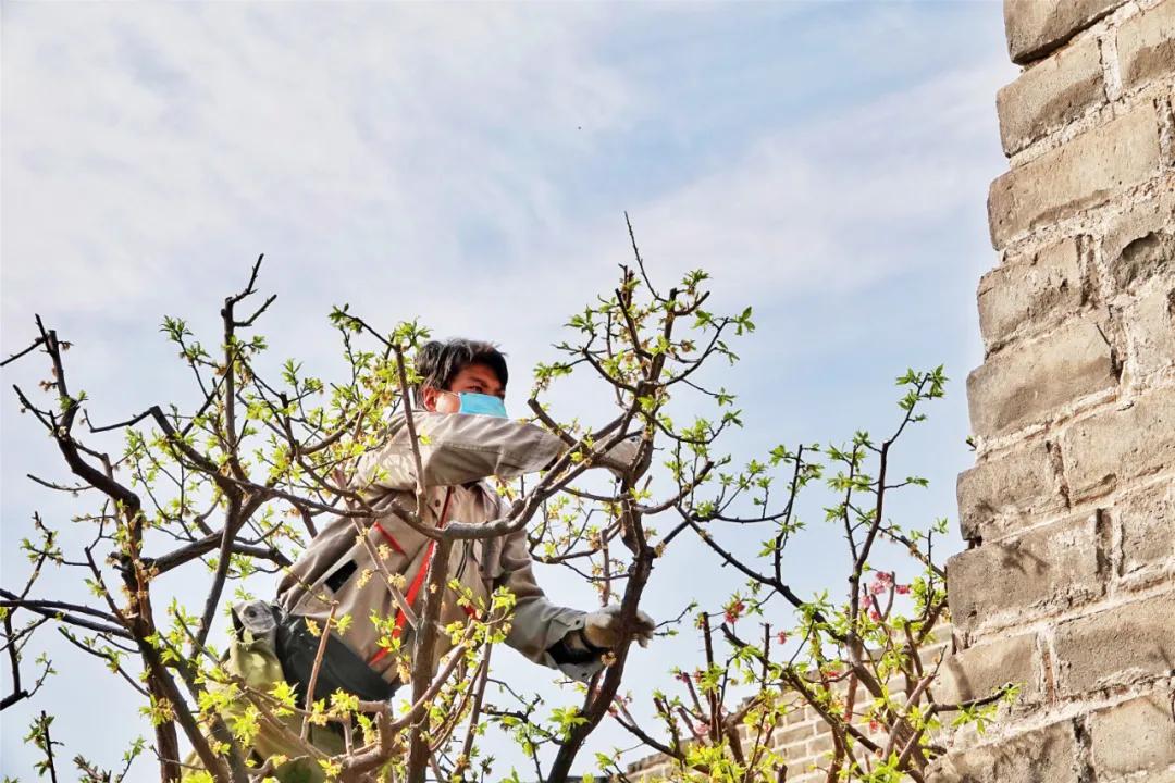 四月发生的事,东城发生的事