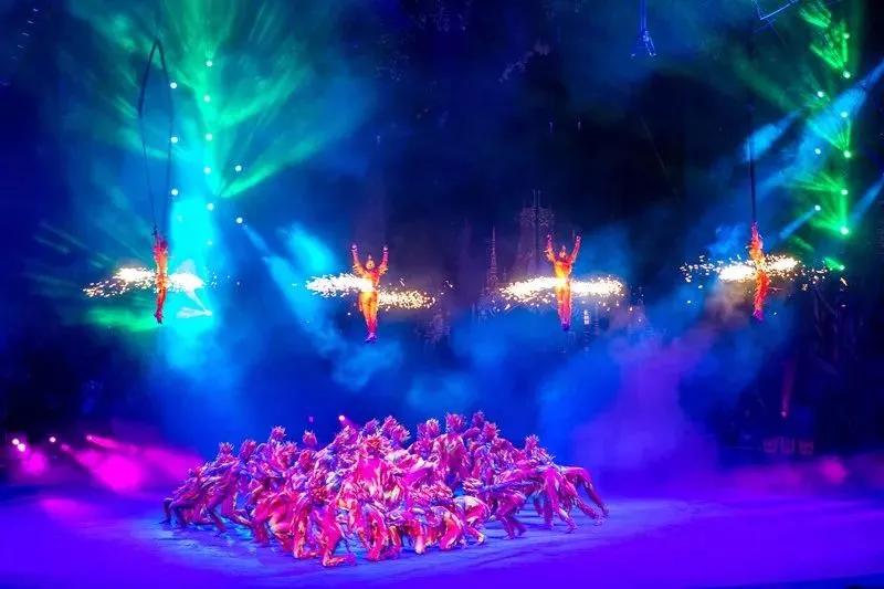 暑假带娃去广州长隆野生动物世界,研学亲子游广州长隆野生动物园