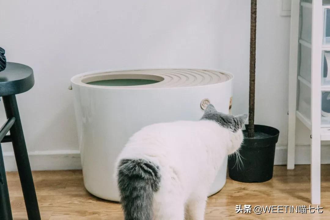 十大最鸡肋的家居神器,有哪些是鸡肋家居用品