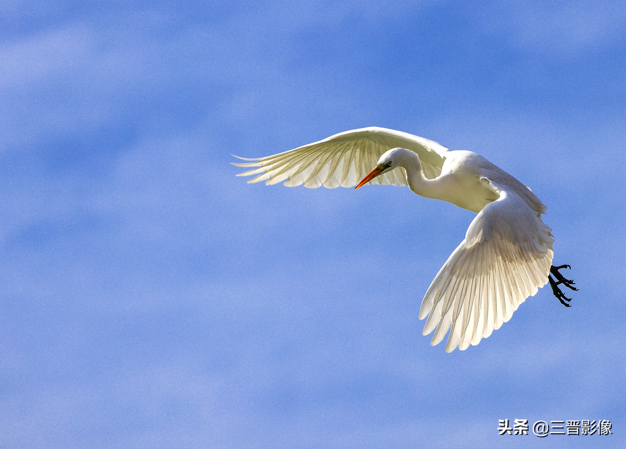 佳能r5转接佳能ef50l拍摄的作品,佳能r5转接ef镜头感觉没有5d4清晰