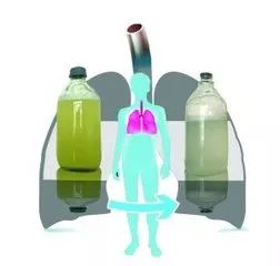 雾霾天，我们吸进肺里的到底是啥？食疗清肺，究竟靠不靠谱？