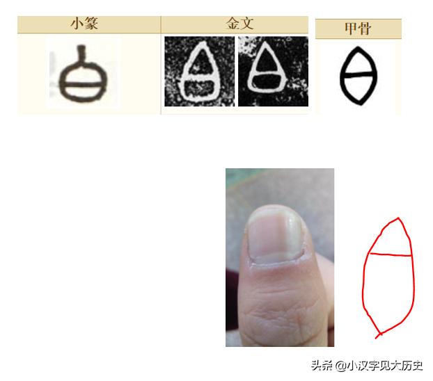 浼徊鍙斿瑙ｆ瀽,浼徊鍙斿鏂囧甯歌瘑