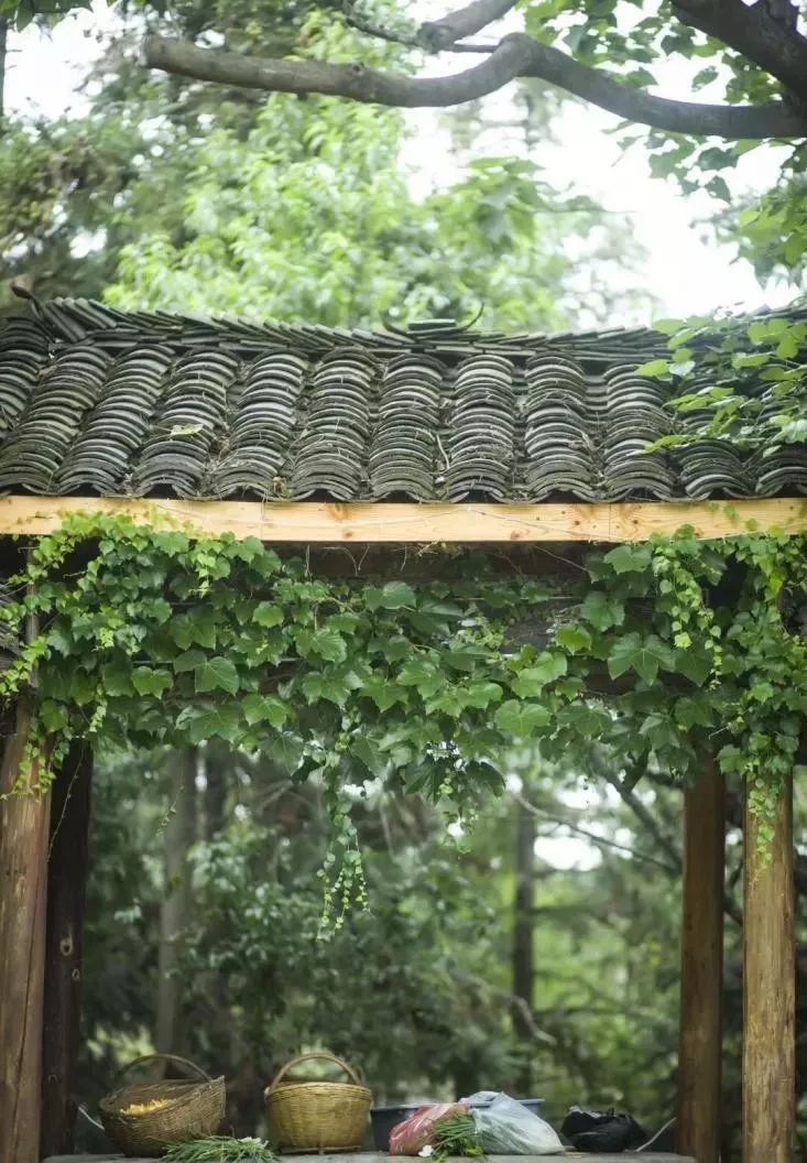 农村80后小两口,80后夫妻住进深山