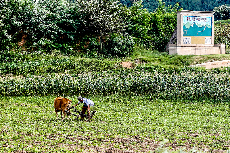 中国游客眼里的朝鲜农村，一个不经意看到的，一个导游领着看到的