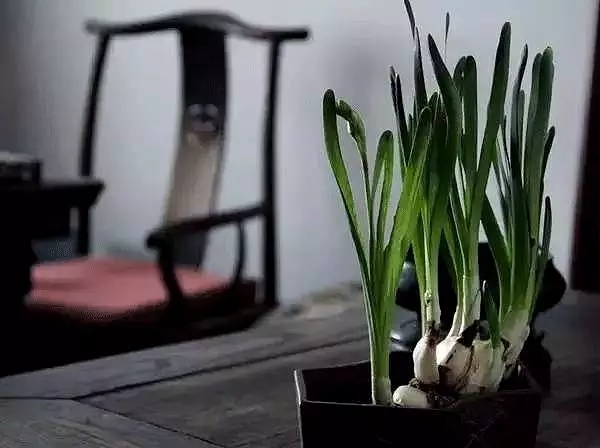 书卷气的书法有何特点,怎样才是一幅好的书法作品