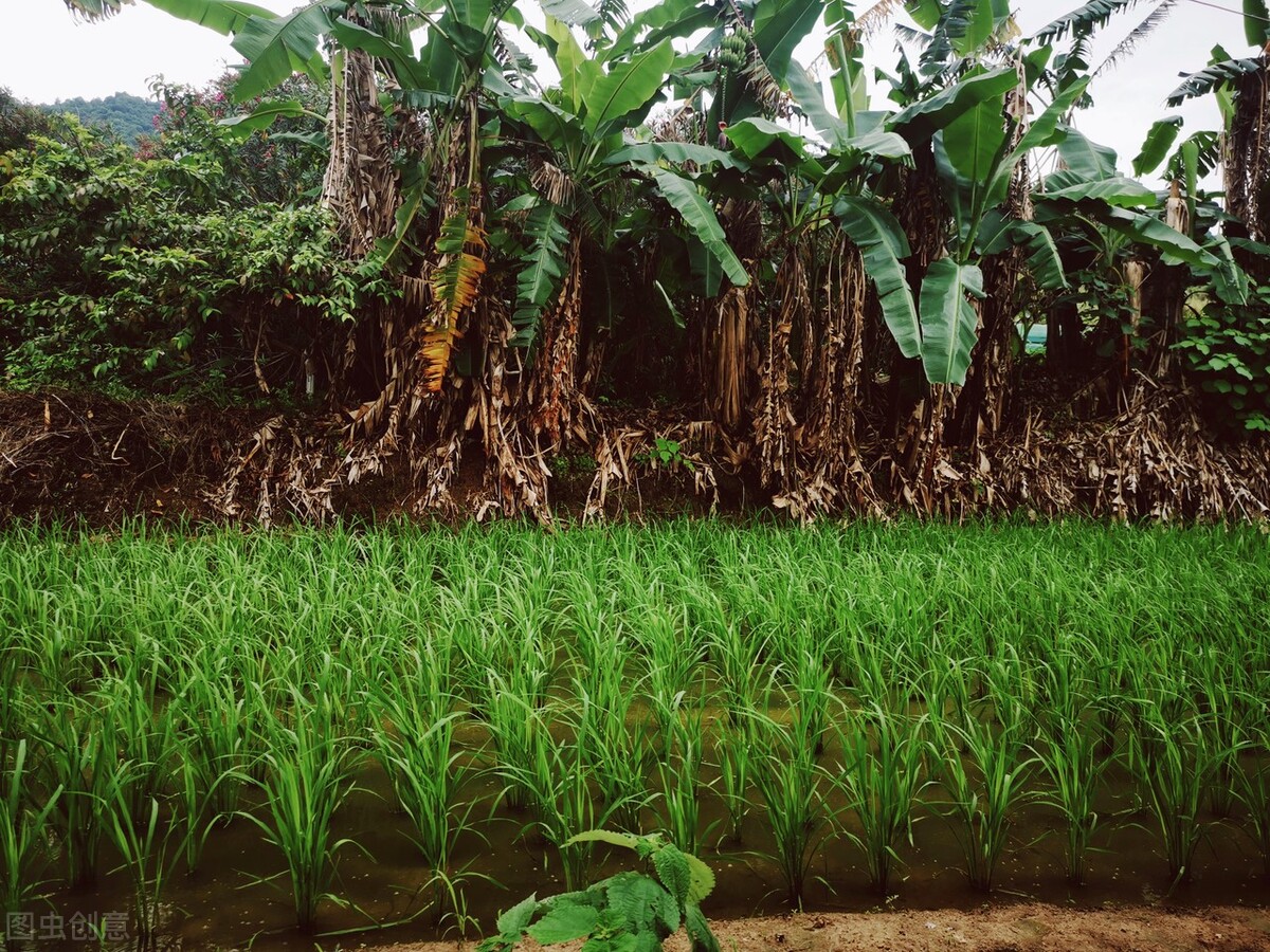 2024湖北宜昌招商引资项目,宜昌500亿招商项目