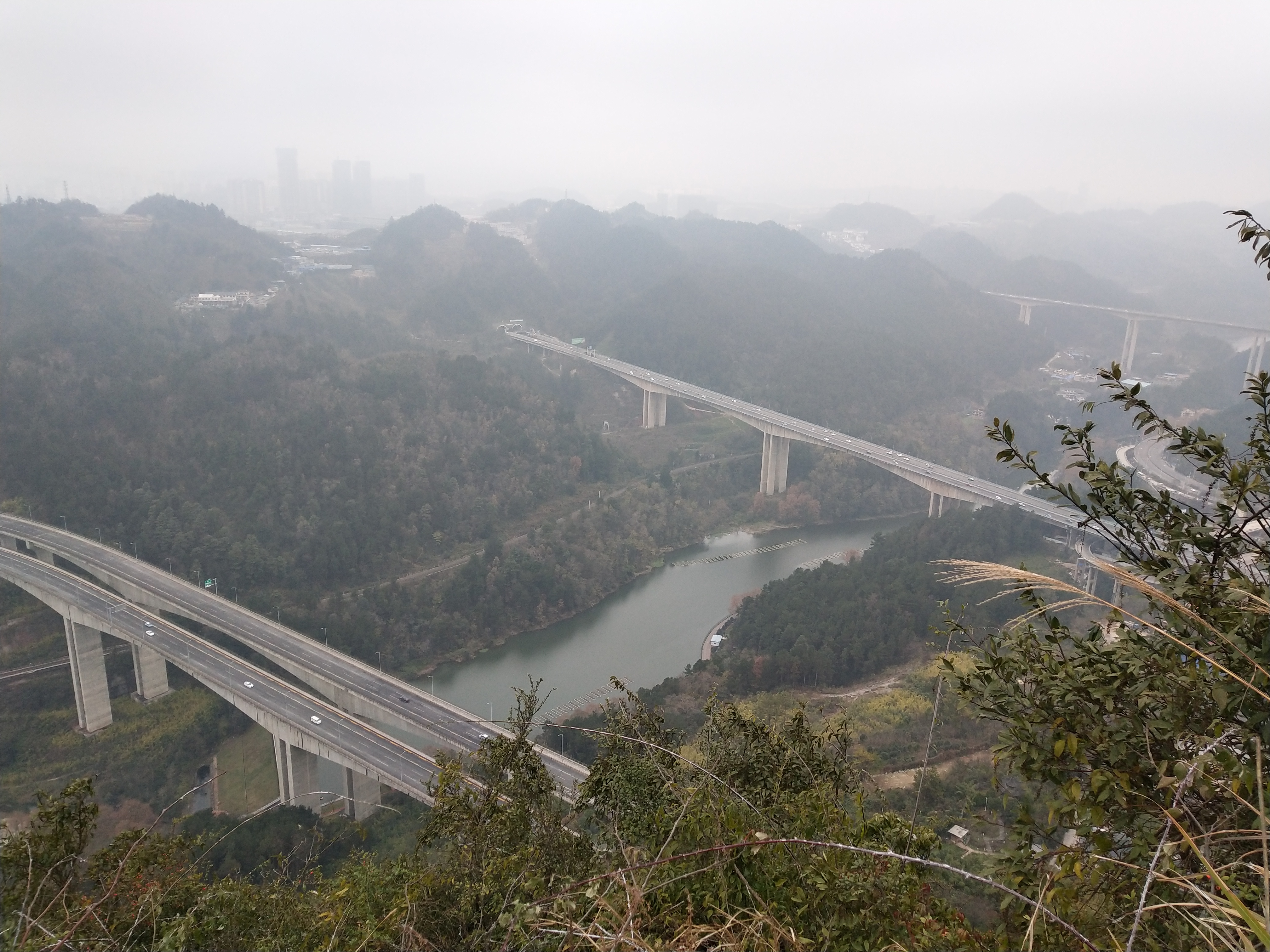 微游贵阳:深度玩透黔灵公园之自然风景