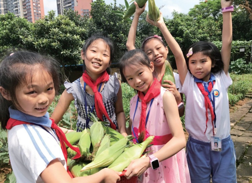 光明培英凤凰学校,光明凤凰实验学校