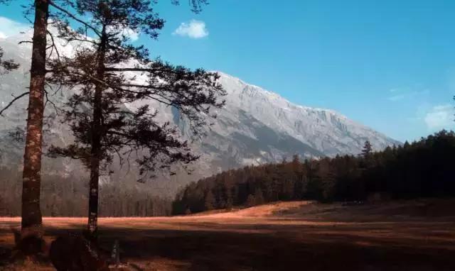 云南丽江旅游攻略自由行路线,昆明大理丽江西双版纳自由行攻略