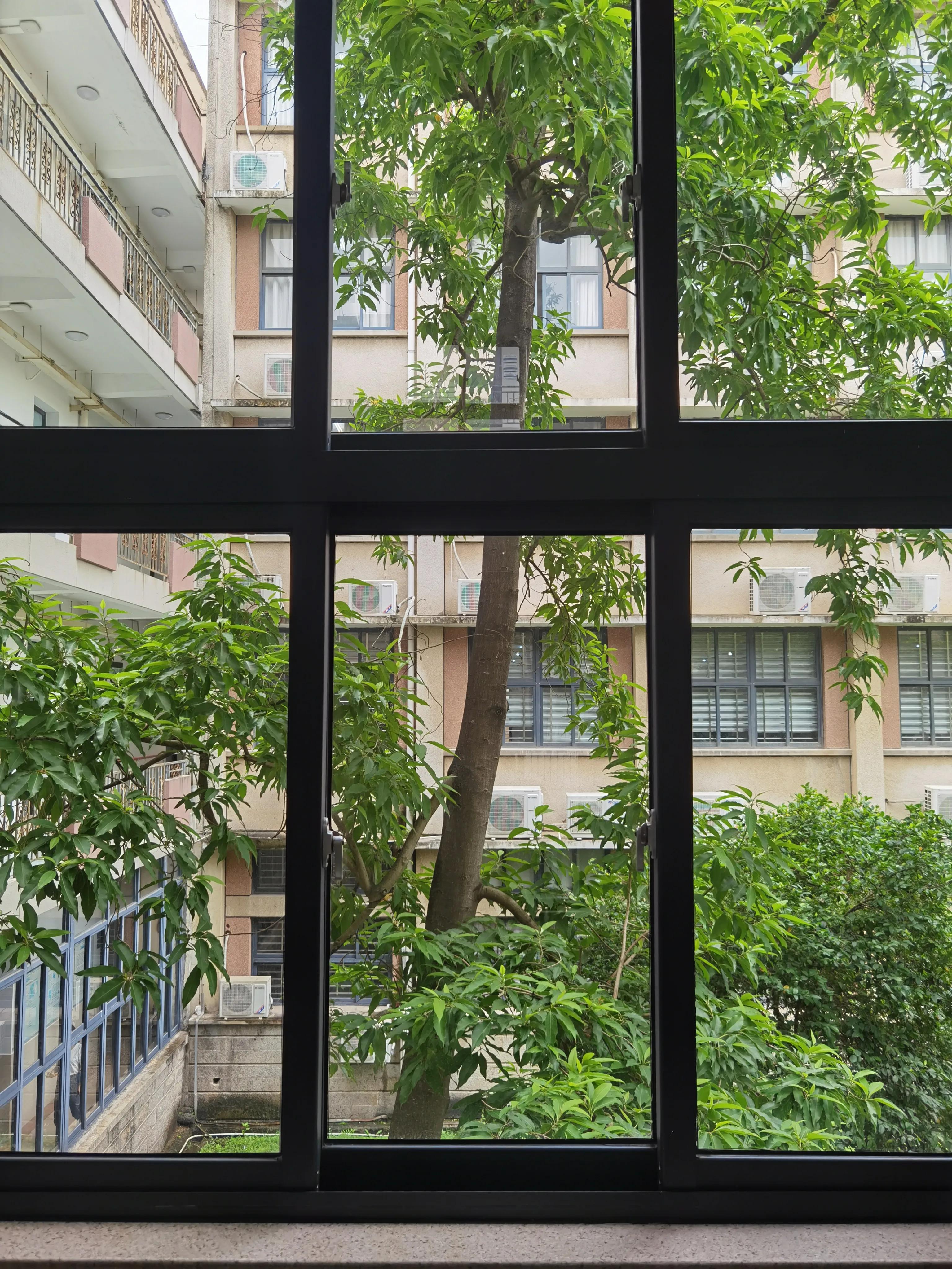 泉州当时为什么留不住华侨大学