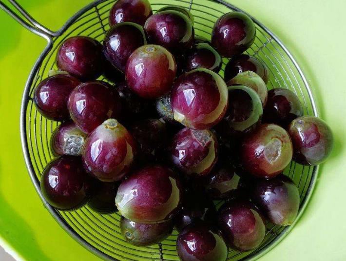 买葡萄应该尝哪个位置,买葡萄最忌讳什么