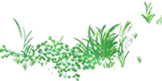 云雾山最近的路线,云雾山二日游