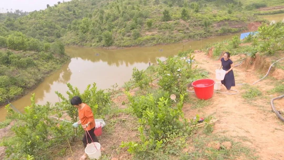 县妇联创业贷款工作半年总结,妇联创业贷款简报