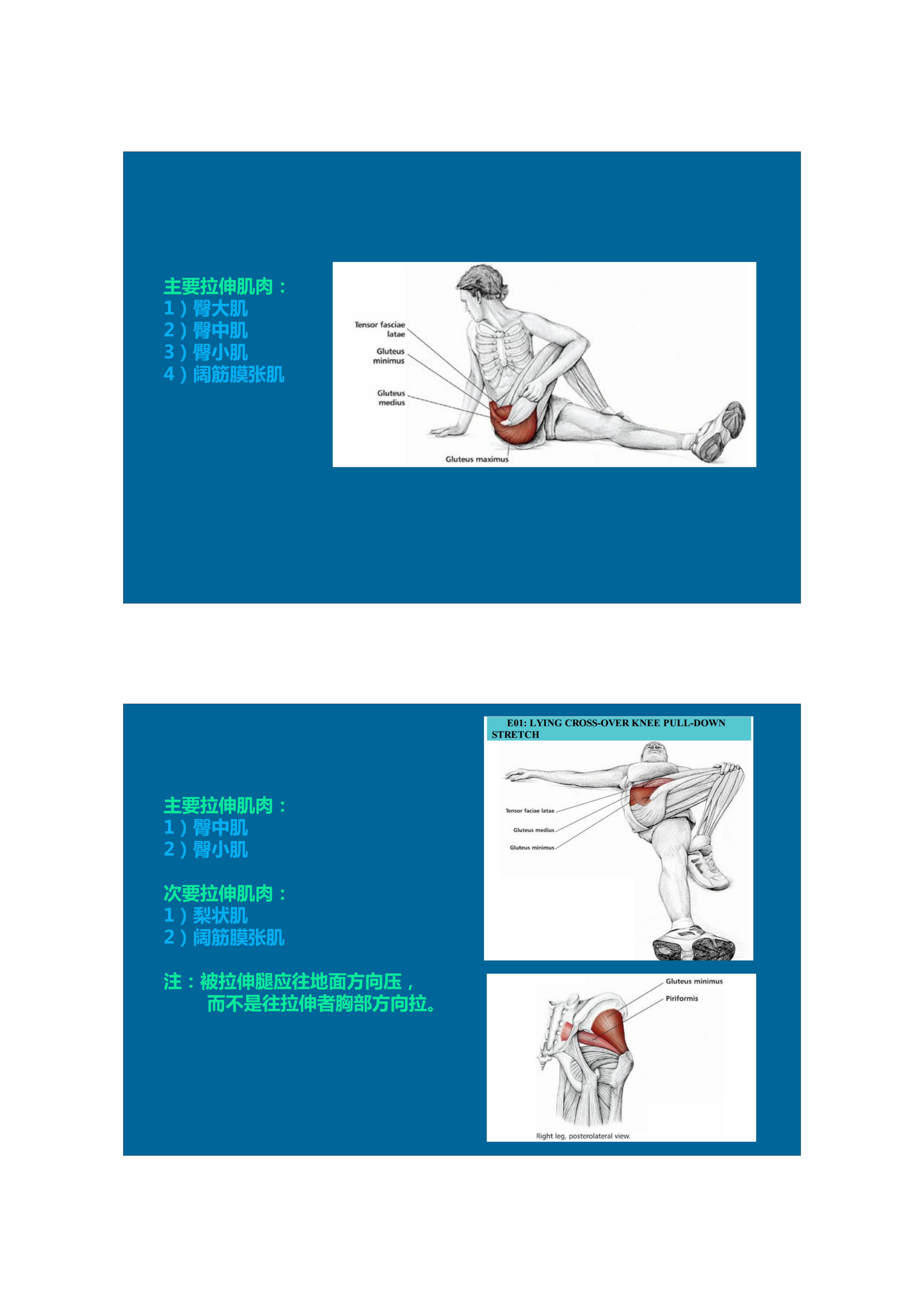 1分钟拉伸动作视频,拉伸腿部技巧