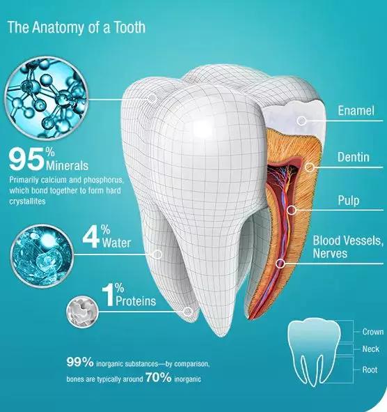 为什么饭后刷牙不好,饭后刷牙的时间和原因