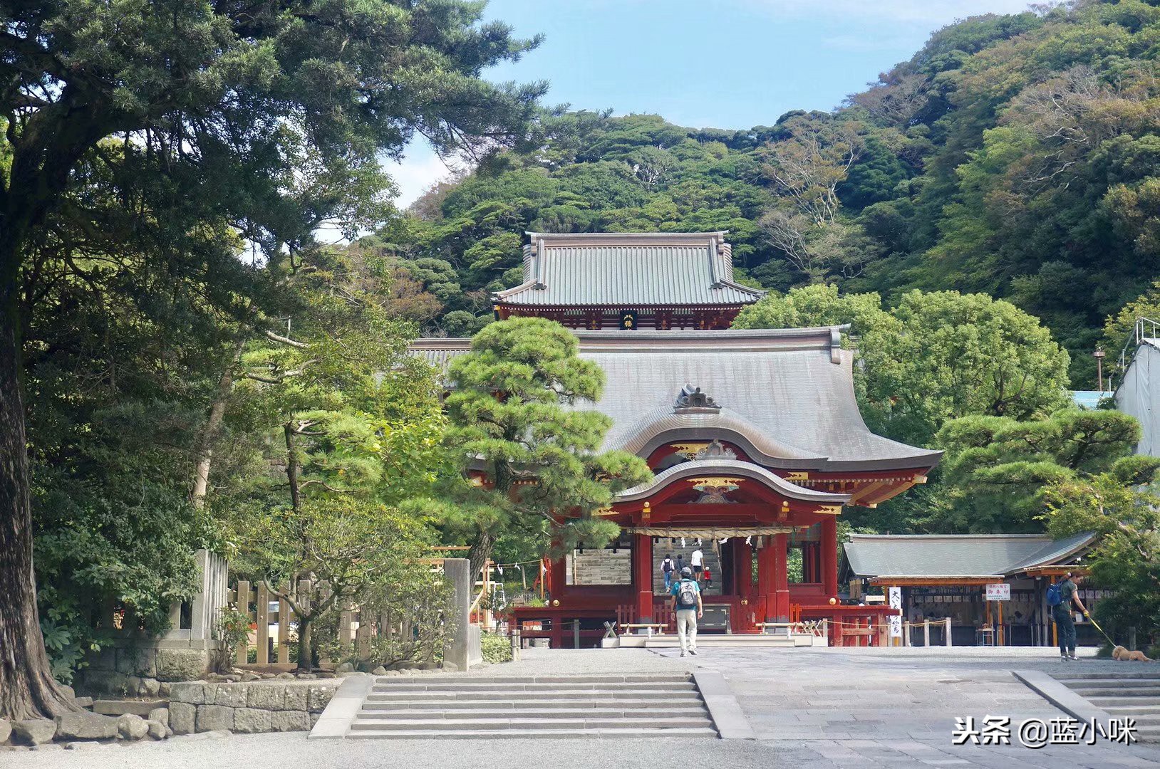 日本自由行7天看富士山,东京自由行攻略东京富士山自由行
