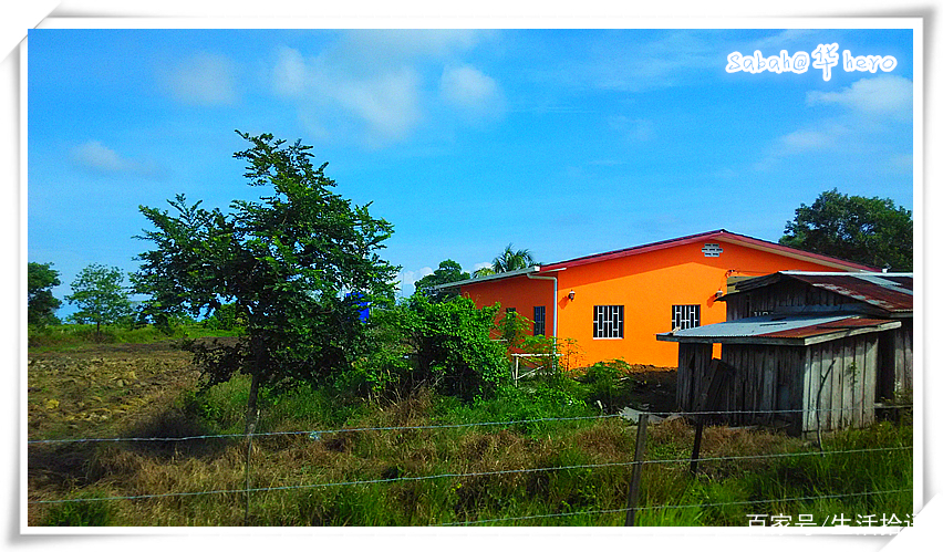 马来西亚沙巴行最新视频,马来西亚沙巴5天游