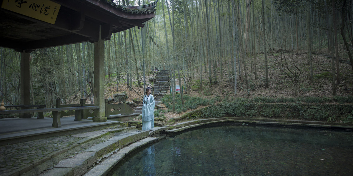 绿竹可以有多美？（其四）